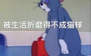 简短沙雕文案男，简短沙雕文案男生