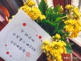 希望文案沙雕短句，希望文案沙雕短句图片
