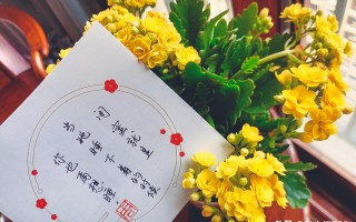 希望文案沙雕短句，希望文案沙雕短句图片