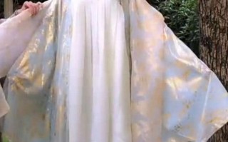 汉服斗篷纱穿搭，汉服斗篷纱穿搭图片大全